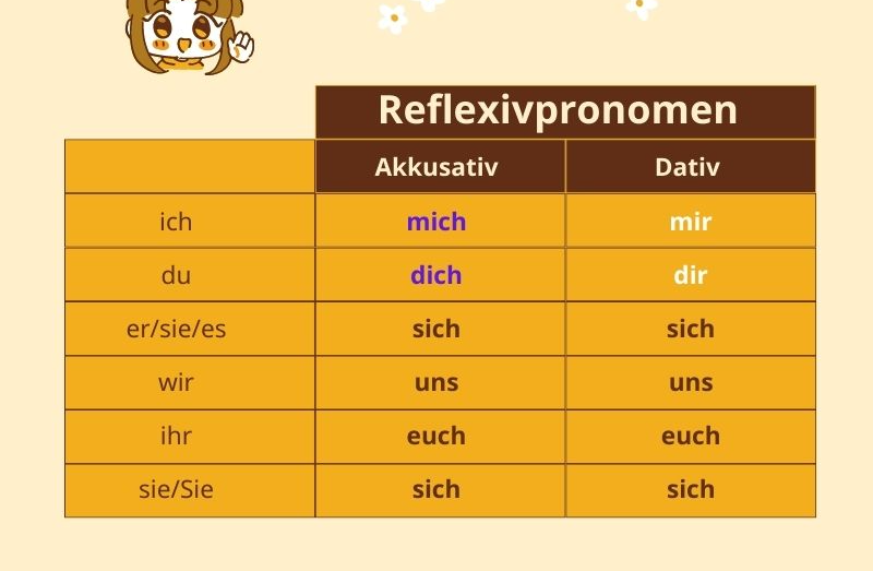 Cách Sử Dụng Đại Từ Phản Thân Trong Tiếng Đức (Reflexivpronomen)  chi tiết