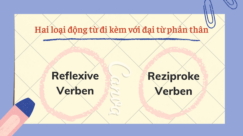 Vị Trí Của Đại Từ Phản Thân tiếng đức Trong Câu như thế nào?