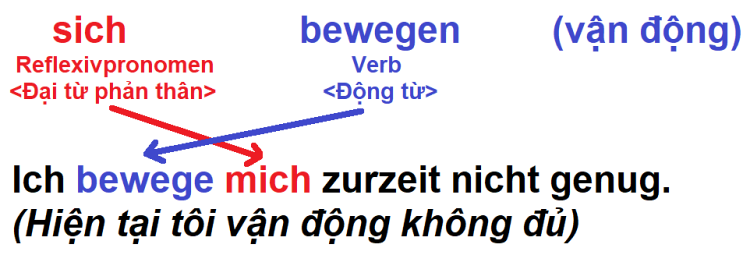 Bài Tập Thực Hành về Đại từ phản thân trong tiếng Đức