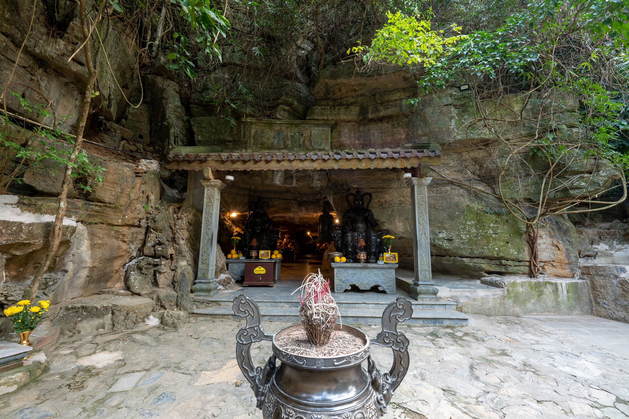 557798180 1212533727576556 2991710590555823595 N