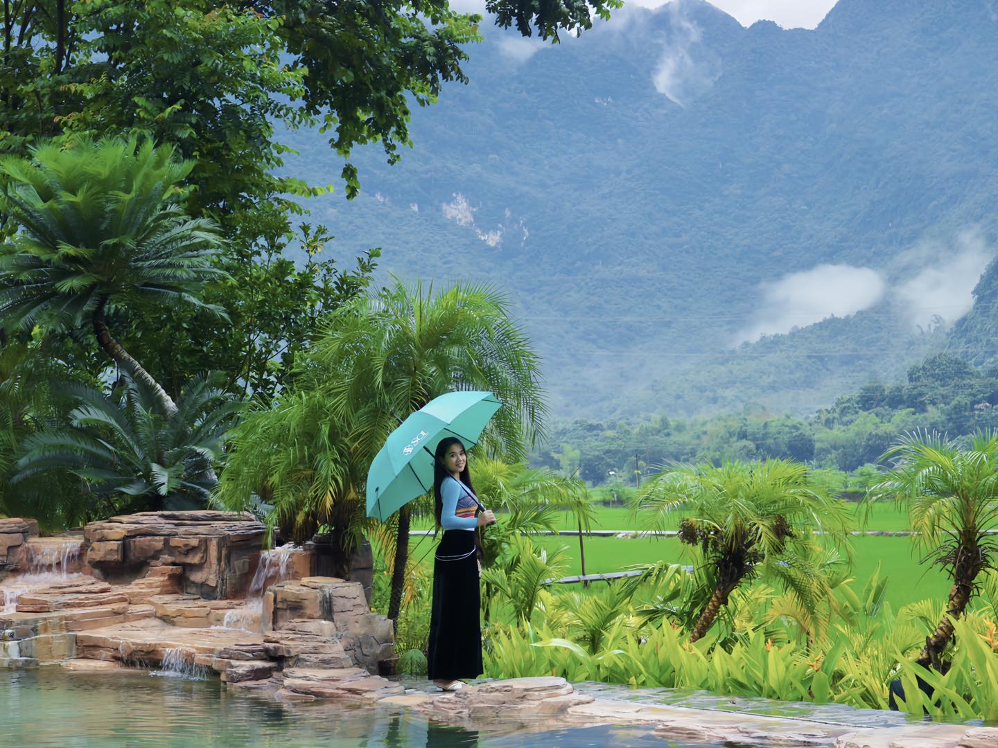 537776380 1415768296736269 3543163745951727448 N