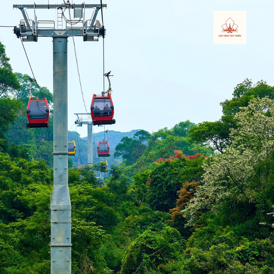 559046653 1137901841825307 2714695865554342943 N